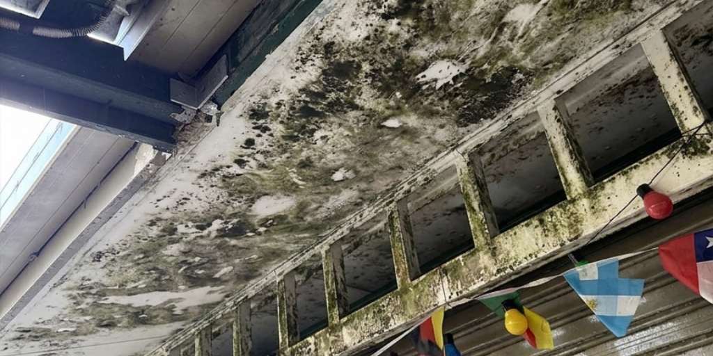 Before – outdoor covered walkway ceiling with heavy mould growth