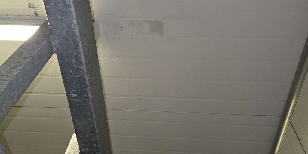 After – carport ceiling panel cleaned