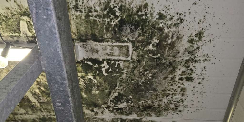 Before – carport ceiling panel with heavy mould buildup