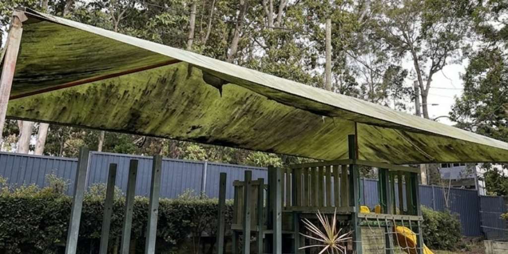 Before – green outdoor park shade sail heavily covered in mould